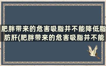 肥胖带来的危害吸脂并不能降低脂肪肝(肥胖带来的危害吸脂并不能降低体重)