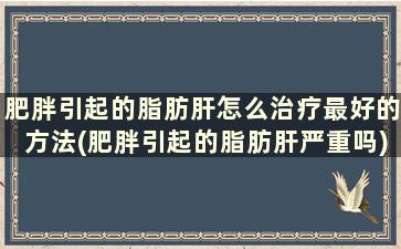 肥胖引起的脂肪肝怎么治疗最好的方法(肥胖引起的脂肪肝严重吗)