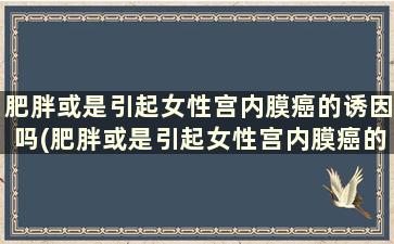 肥胖或是引起女性宫内膜癌的诱因吗(肥胖或是引起女性宫内膜癌的诱因是什么)