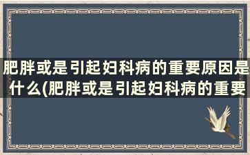 肥胖或是引起妇科病的重要原因是什么(肥胖或是引起妇科病的重要原因有哪些)