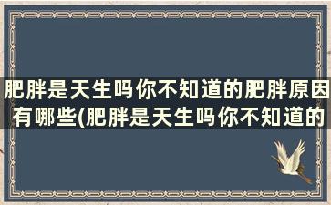 肥胖是天生吗你不知道的肥胖原因有哪些(肥胖是天生吗你不知道的肥胖原因吗)