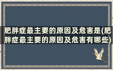 肥胖症最主要的原因及危害是(肥胖症最主要的原因及危害有哪些)