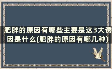 肥胖的原因有哪些主要是这3大诱因是什么(肥胖的原因有哪几种)