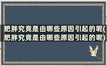 肥胖究竟是由哪些原因引起的呢(肥胖究竟是由哪些原因引起的呢)