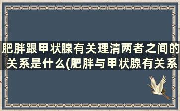 肥胖跟甲状腺有关理清两者之间的关系是什么(肥胖与甲状腺有关系吗)