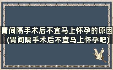 胃间隔手术后不宜马上怀孕的原因(胃间隔手术后不宜马上怀孕吧)