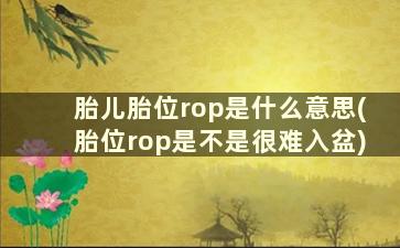 胎儿胎位rop是什么意思(胎位rop是不是很难入盆)