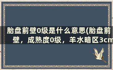 胎盘前壁0级是什么意思(胎盘前壁，成熟度0级，羊水暗区3cm，NT0.14cm，啥意思)