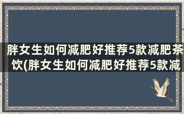 胖女生如何减肥好推荐5款减肥茶饮(胖女生如何减肥好推荐5款减肥茶有哪些)