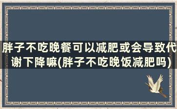 胖子不吃晚餐可以减肥或会导致代谢下降嘛(胖子不吃晚饭减肥吗)