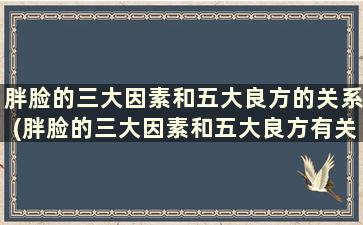 胖脸的三大因素和五大良方的关系(胖脸的三大因素和五大良方有关吗)