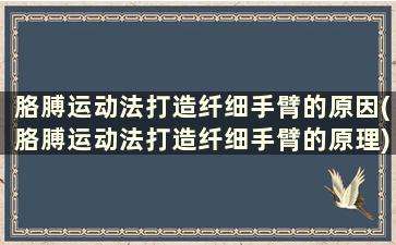 胳膊运动法打造纤细手臂的原因(胳膊运动法打造纤细手臂的原理)