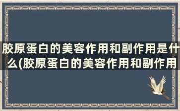 胶原蛋白的美容作用和副作用是什么(胶原蛋白的美容作用和副作用)