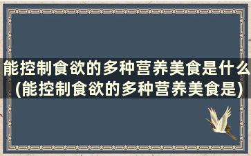 能控制食欲的多种营养美食是什么(能控制食欲的多种营养美食是)