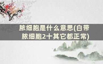 脓细胞是什么意思(白带脓细胞2十其它都正常)