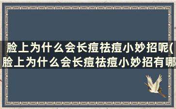 脸上为什么会长痘祛痘小妙招呢(脸上为什么会长痘祛痘小妙招有哪些)