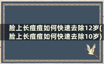 脸上长痘痘如何快速去除12岁(脸上长痘痘如何快速去除10岁)