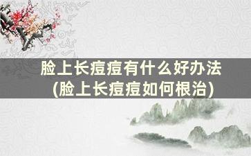 脸上长痘痘有什么好办法(脸上长痘痘如何根治)