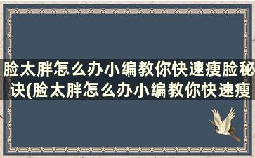 脸太胖怎么办小编教你快速瘦脸秘诀(脸太胖怎么办小编教你快速瘦脸秘诀)