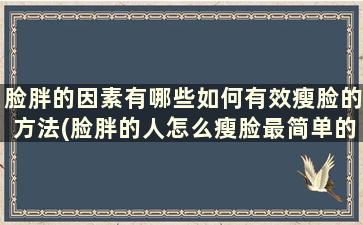 脸胖的因素有哪些如何有效瘦脸的方法(脸胖的人怎么瘦脸最简单的方法)