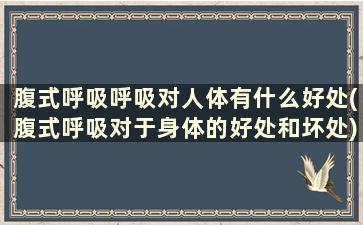 腹式呼吸呼吸对人体有什么好处(腹式呼吸对于身体的好处和坏处)