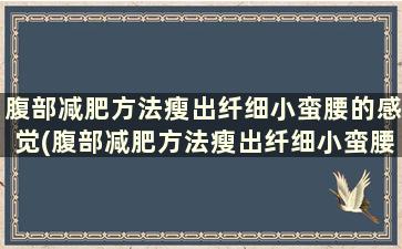 腹部减肥方法瘦出纤细小蛮腰的感觉(腹部减肥方法瘦出纤细小蛮腰怎么办)