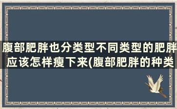 腹部肥胖也分类型不同类型的肥胖应该怎样瘦下来(腹部肥胖的种类)