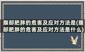 腹部肥胖的危害及应对方法是(腹部肥胖的危害及应对方法是什么)