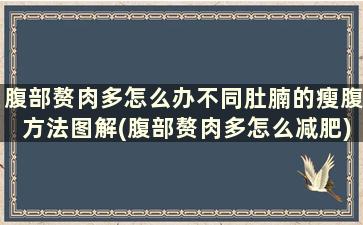 腹部赘肉多怎么办不同肚腩的瘦腹方法图解(腹部赘肉多怎么减肥)