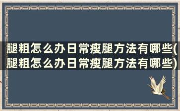 腿粗怎么办日常瘦腿方法有哪些(腿粗怎么办日常瘦腿方法有哪些)