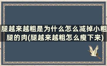 腿越来越粗是为什么怎么减掉小粗腿的肉(腿越来越粗怎么瘦下来)