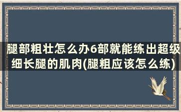 腿部粗壮怎么办6部就能练出超级细长腿的肌肉(腿粗应该怎么练)