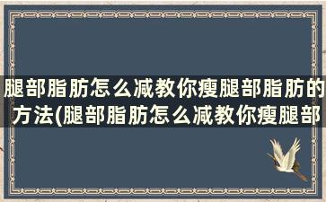 腿部脂肪怎么减教你瘦腿部脂肪的方法(腿部脂肪怎么减教你瘦腿部脂肪的方法)