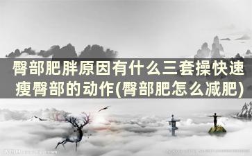 臀部肥胖原因有什么三套操快速瘦臀部的动作(臀部肥怎么减肥)