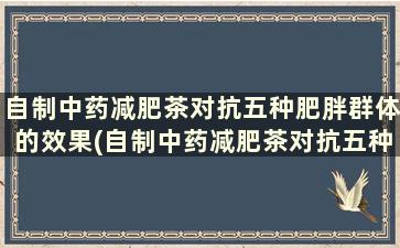 自制中药减肥茶对抗五种肥胖群体的效果(自制中药减肥茶对抗五种肥胖群体的效果)