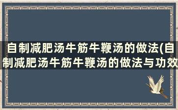 自制减肥汤牛筋牛鞭汤的做法(自制减肥汤牛筋牛鞭汤的做法与功效)