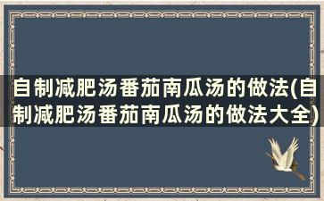 自制减肥汤番茄南瓜汤的做法(自制减肥汤番茄南瓜汤的做法大全)