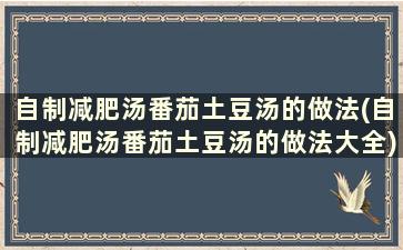 自制减肥汤番茄土豆汤的做法(自制减肥汤番茄土豆汤的做法大全)