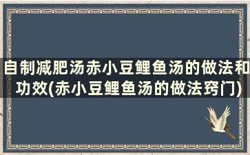 自制减肥汤赤小豆鲤鱼汤的做法和功效(赤小豆鲤鱼汤的做法窍门)