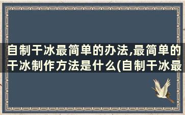 自制干冰最简单的办法,最简单的干冰制作方法是什么(自制干冰最简单的办法,最简单的干冰制作方法是)