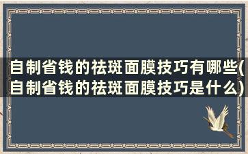 自制省钱的祛斑面膜技巧有哪些(自制省钱的祛斑面膜技巧是什么)