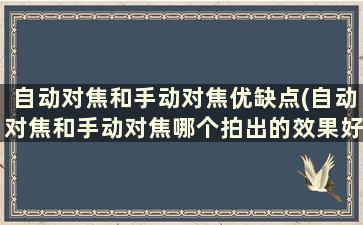 自动对焦和手动对焦优缺点(自动对焦和手动对焦哪个拍出的效果好)