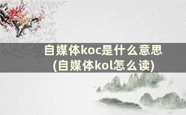 自媒体koc是什么意思(自媒体kol怎么读)