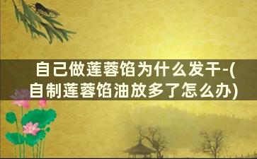 自己做莲蓉馅为什么发干-(自制莲蓉馅油放多了怎么办)