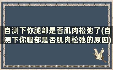 自测下你腿部是否肌肉松弛了(自测下你腿部是否肌肉松弛的原因)