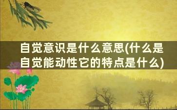 自觉意识是什么意思(什么是自觉能动性它的特点是什么)