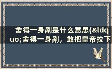 舍得一身剐是什么意思(“舍得一身剐，敢把皇帝拉下马”是什么意思)