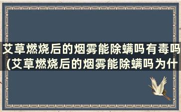 艾草燃烧后的烟雾能除螨吗有毒吗(艾草燃烧后的烟雾能除螨吗为什么)