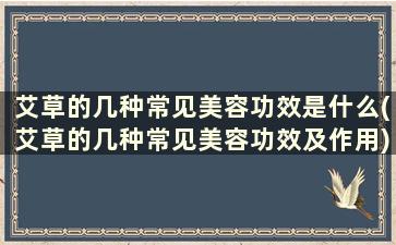 艾草的几种常见美容功效是什么(艾草的几种常见美容功效及作用)