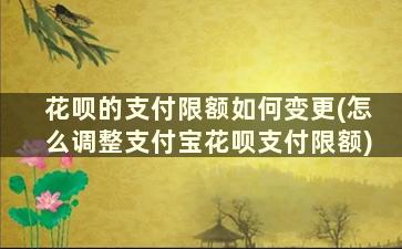 花呗的支付限额如何变更(怎么调整支付宝花呗支付限额)